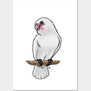 Bird - Bare-Eyed Cockatoo - Crest Down Posters and Art